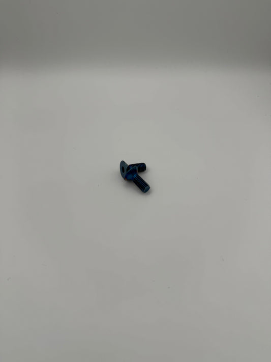 Titanium kickstand bolts