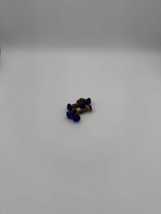 Titanium Fork guard bolts